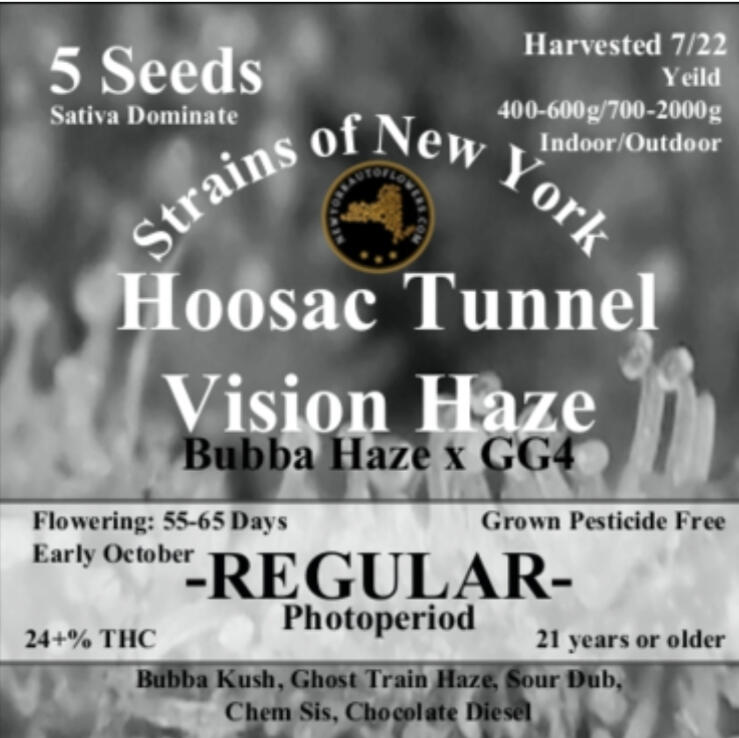 Hoosac Tunnel Vision Haze