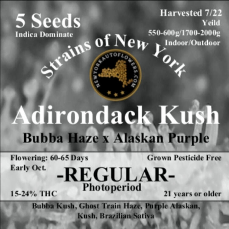 Adirondack Kush