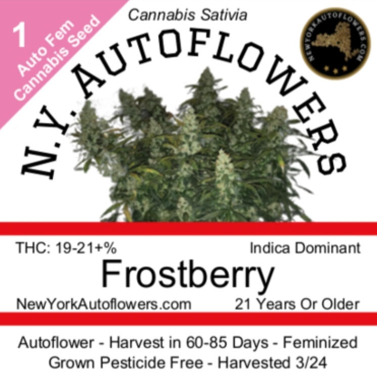 Frostberry